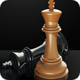 保护国王国际象棋