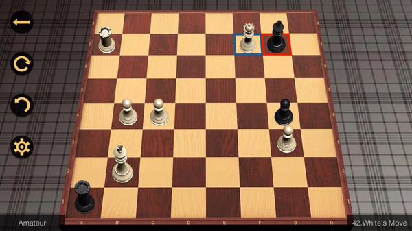 保护国王国际象棋