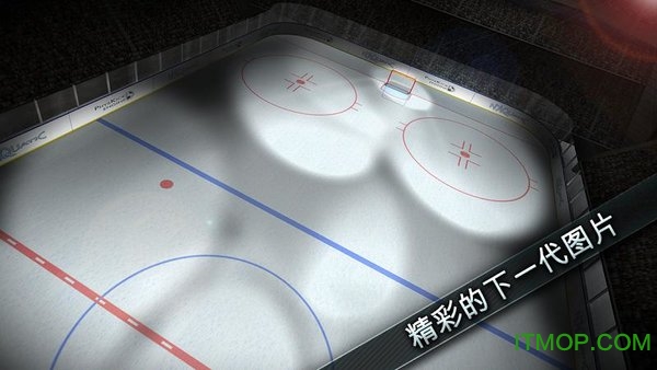 曲棍球决战(Hockey Showdown)