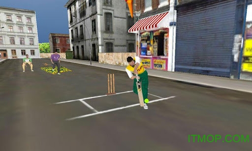 街头板球(Street Cricket)